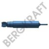 SCANI 372291 Shock Absorber